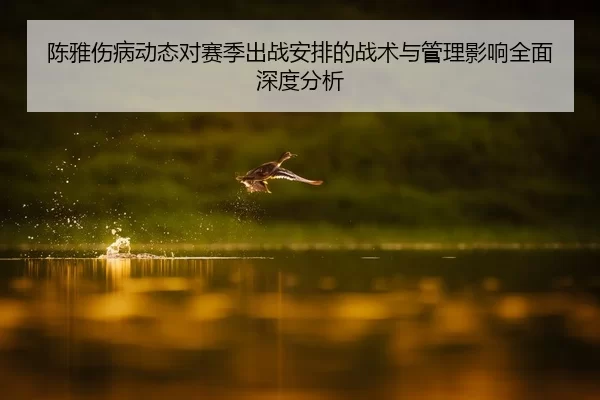 陈雅伤病动态对赛季出战安排的战术与管理影响全面深度分析