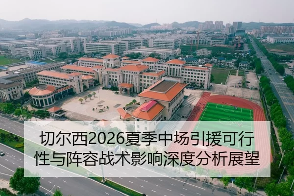 切尔西2026夏季中场引援可行性与阵容战术影响深度分析展望